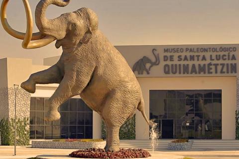 Museo Paleontológico